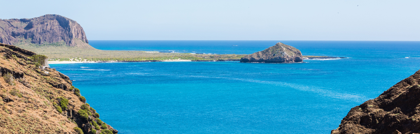 The Galapagos Islands: Nature's Time Machine